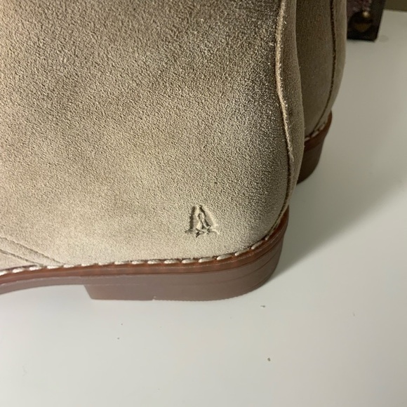 Hush Puppies Mazin Cayto Tan Suede Chukka Boots New main image 4